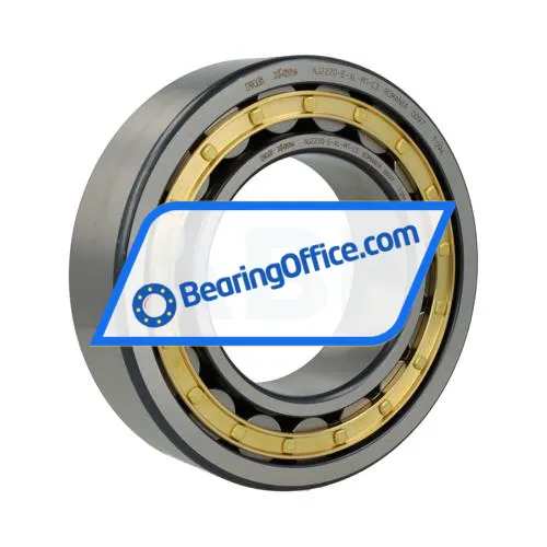 FAG NJ2220-E-XL-M1-C3