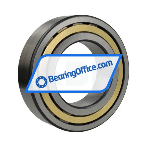 FAG NJ2220-E-XL-M1-C3 bearing image 2