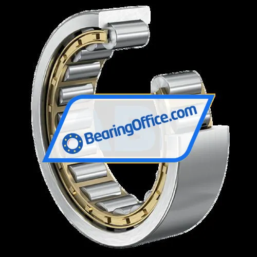 FAG RNU1008-XL-M1 bearing image 4