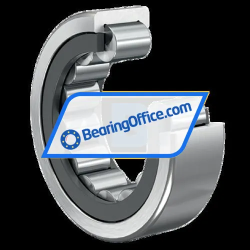 FAG RNU2204-E-XL-TVP2 bearing image 4