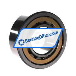 FAG NU2313-E-XL-M1 rulman resim 2