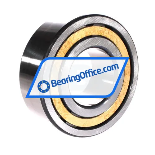 FAG NJ2315-E-XL-M1-C3 bearing image 2