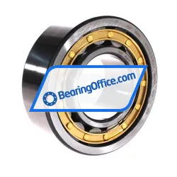 FAG NJ2315-E-XL-M1-C3