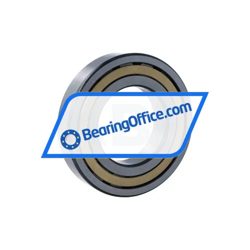 FAG NJ213-E-XL-M1-C3 bearing image 2