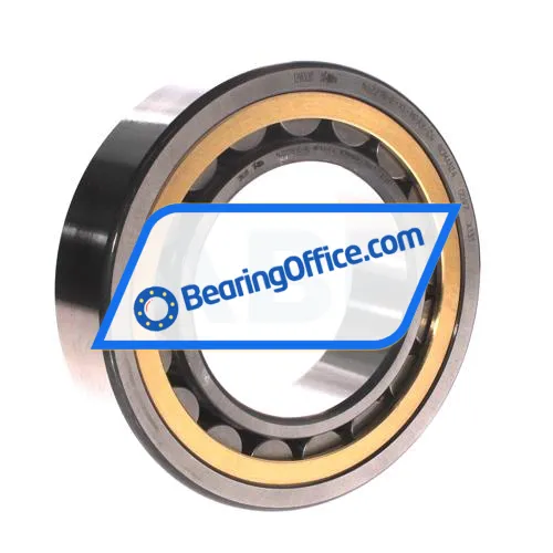 FAG NJ2218-E-XL-MPAX-C4