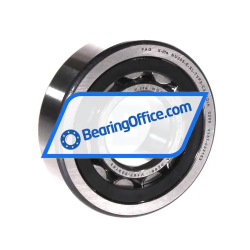 FAG NU305-E-XL-TVP2-C3