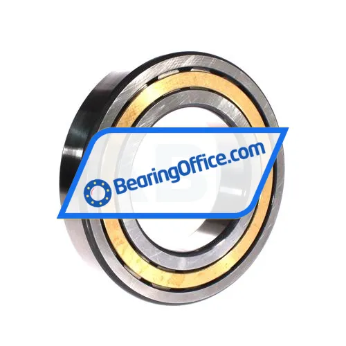FAG NJ219-E-XL-M1-C3 bearing image 2