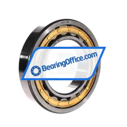 FAG NJ219-E-XL-M1-C3