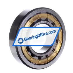 FAG NJ313-E-XL-M1-C3