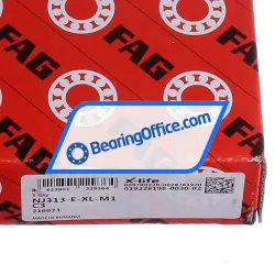 FAG NJ313-E-XL-M1-C3 rulman resim 6