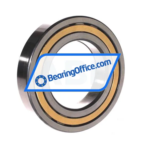 FAG NUP215-E-M1-F1-C3 bearing image 2