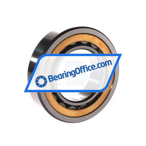 FAG NU209-E-XL-M1A-C3 bearing image 2