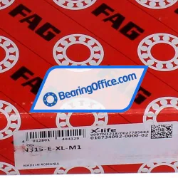 FAG N315-E-XL-M1 rulman resim 6