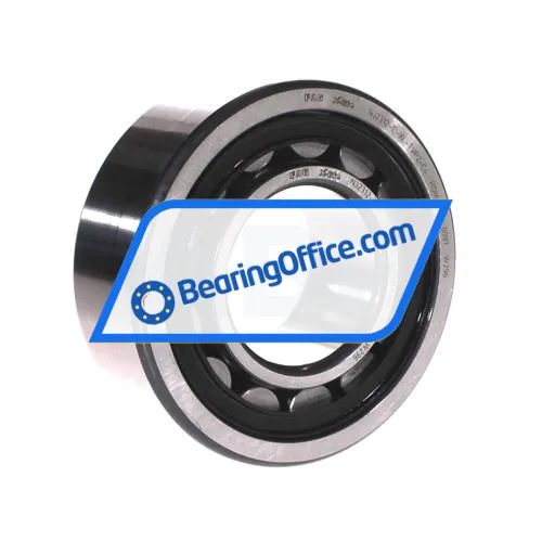 FAG NJ2312-E-XL-TVP2-C4