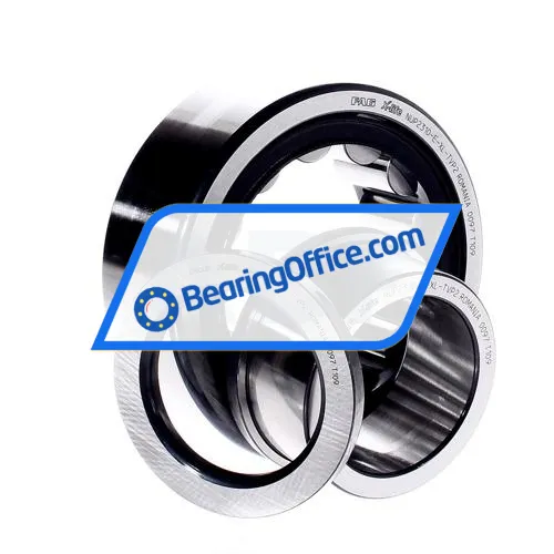 FAG NUP2310-E-XL-TVP2 bearing image 2