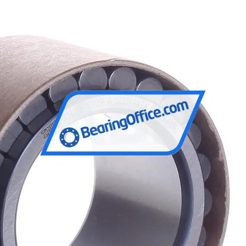 INA RSL185009-A bearing image 2