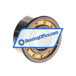 FAG NUP2305-E-XL-M1A-C3