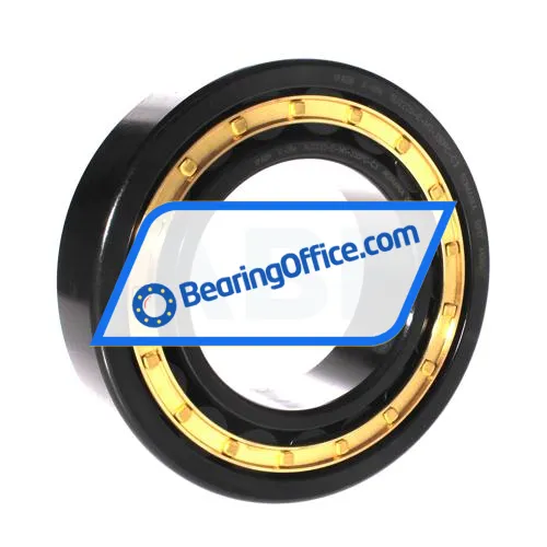 FAG NJ2220-E-M1-J30PC-C3