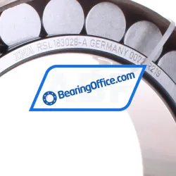 INA RSL183026-A rulman resim 2