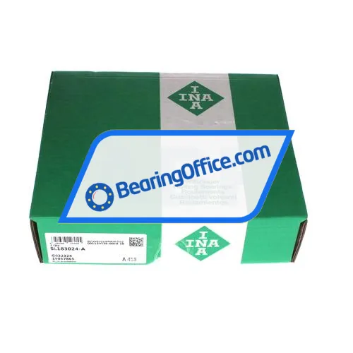 INA RSL183024-A bearing image 2