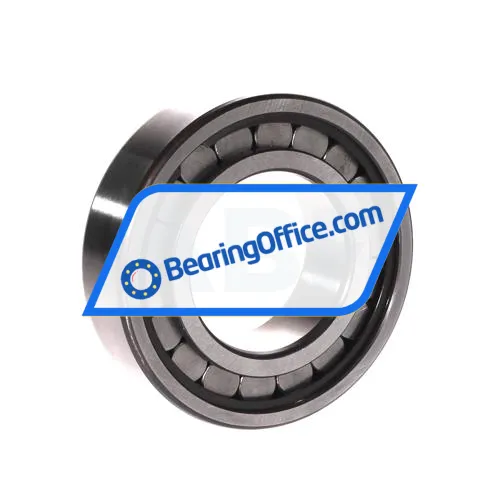 INA SL182209-A-XL bearing image 2
