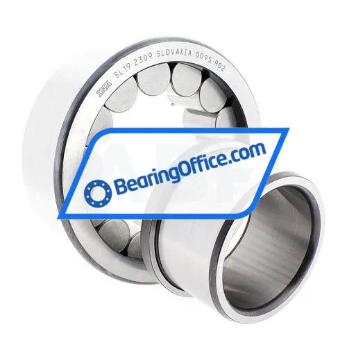 INA SL192309 bearing image 2