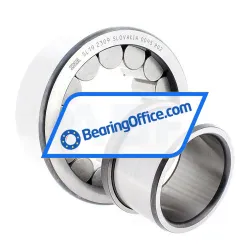 INA SL192309 rulman resim 2