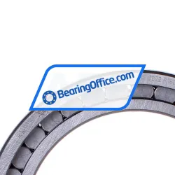 INA SL182920-B-XL rulman resim 2