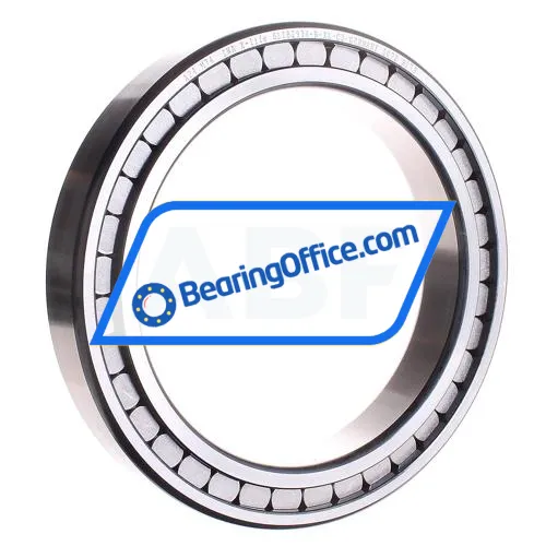 INA SL182934-B-XL-C3