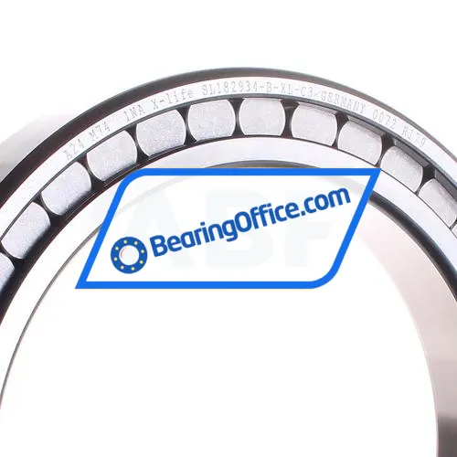 INA SL182934-B-XL-C3 bearing image 2