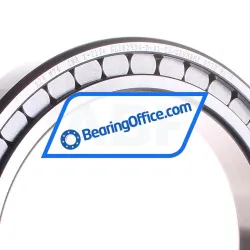 INA SL182934-B-XL-C3 rulman resim 2