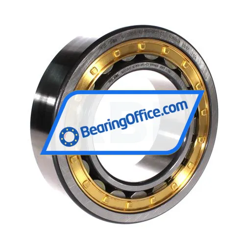 FAG NJ2220-E-XL-M1A-QP51-C3