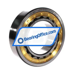 FAG NJ2220-E-XL-M1A-QP51-C3