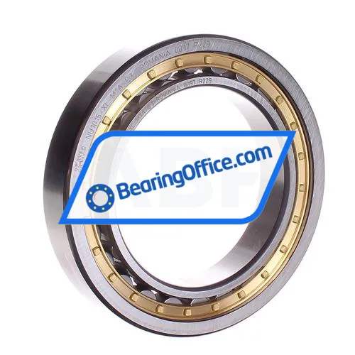 FAG NU1015-XL-M1A-C3