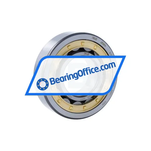 FAG NJ309-E-XL-M1A-C4