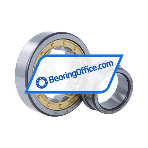 FAG NJ309-E-XL-M1A-C4 bearing image 3