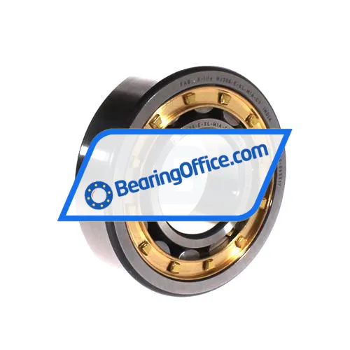 FAG NJ308-E-XL-M1A-C3