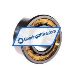 FAG NJ2322-E-XL-M1A-C3