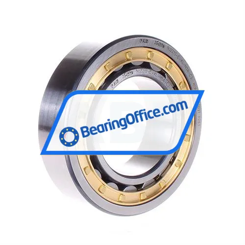 FAG NJ2213-E-XL-M1A-C3