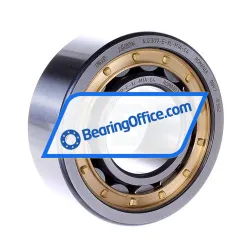 FAG NJ2309-E-XL-M1A-C4