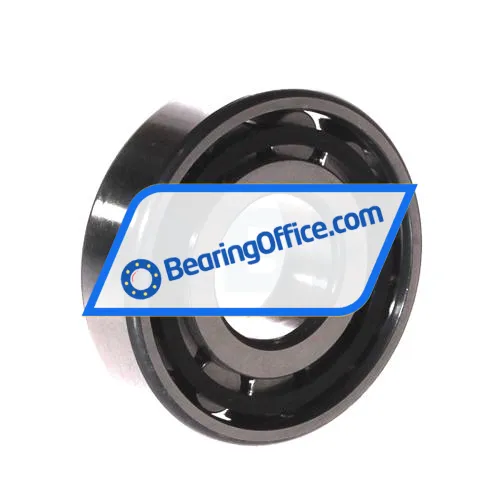 FAG N305-E-XL-TVP2 bearing image 2