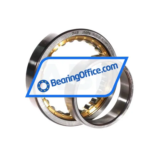 FAG NU1012-XL-M1-C3 bearing image 2