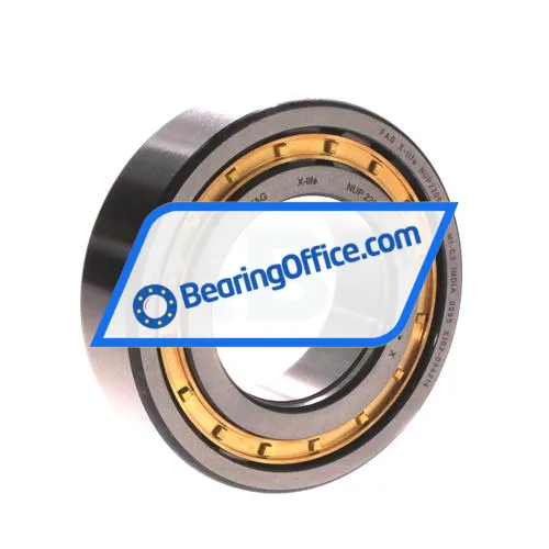 FAG NUP2209-E-XL-M1-C3