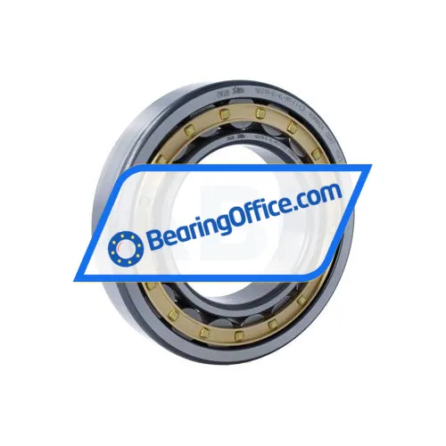 FAG NU219-E-XL-M1-F1-C3