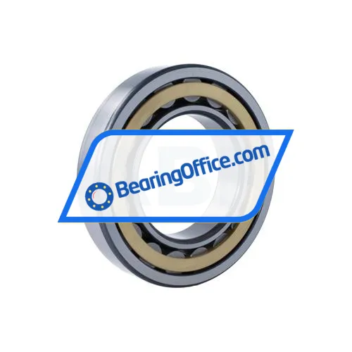 FAG NU219-E-XL-M1-F1-C3 bearing image 2
