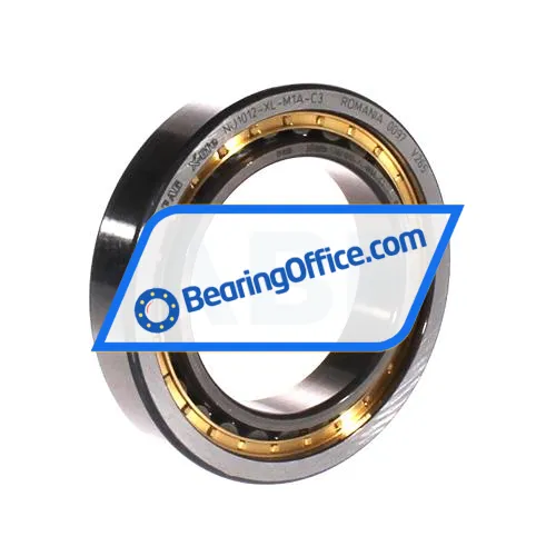 FAG NU1012-XL-M1A-C3