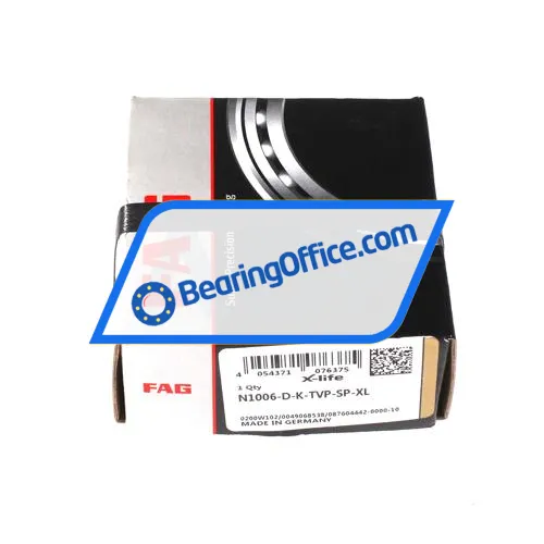 FAG N1006-D-K-TVP-SP-XL bearing image 2
