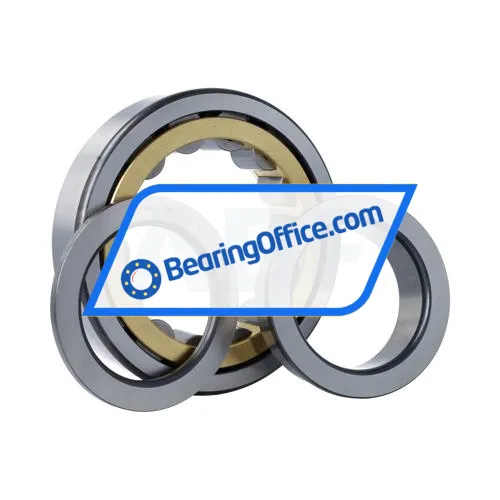 FAG NUP319-E-XL-M1-F1-C4