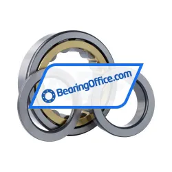 FAG NUP319-E-XL-M1-F1-C4