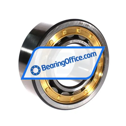 FAG NJ2313-E-XL-M1A-QP51-C3